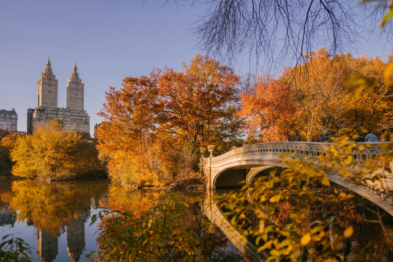 Explore Central Park NYC - The Ultimate Guide by A Profound Journey