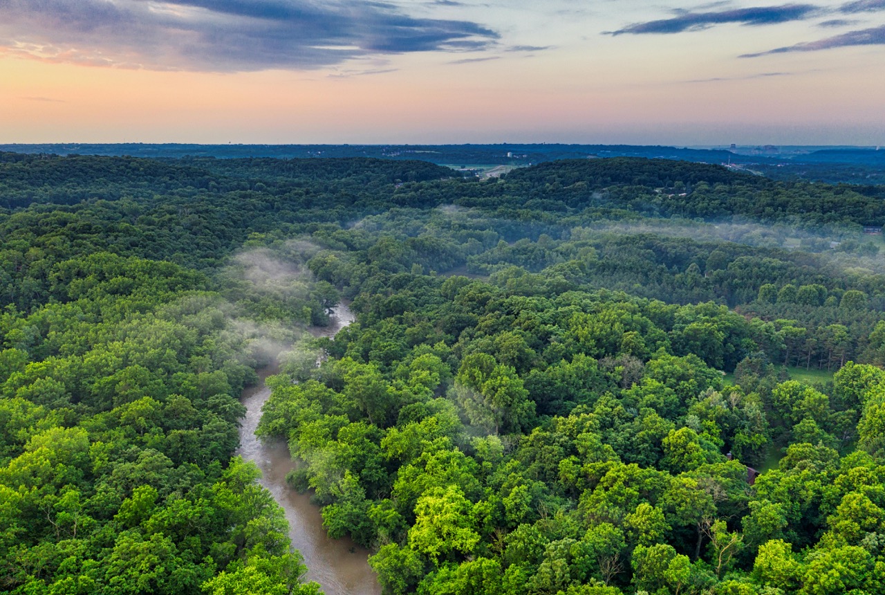 Exploring the Amazon Rainforest in Brazil - A Profound Journey